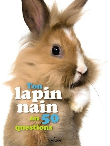 Ton lapin nain questions - nain,