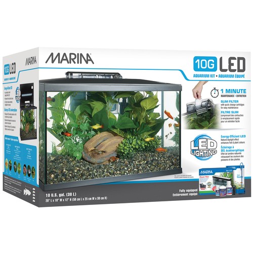 Gallon led aquarium - 10-gallon,