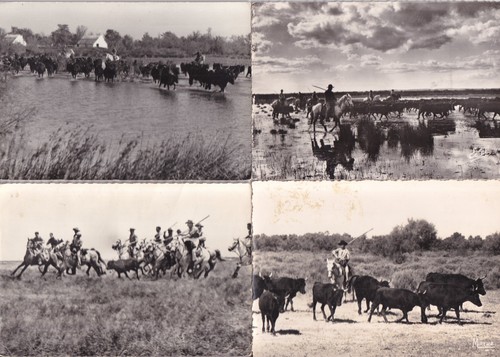 Lot cartes postales - 4,