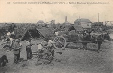 CPA 49 COMMISSION DES