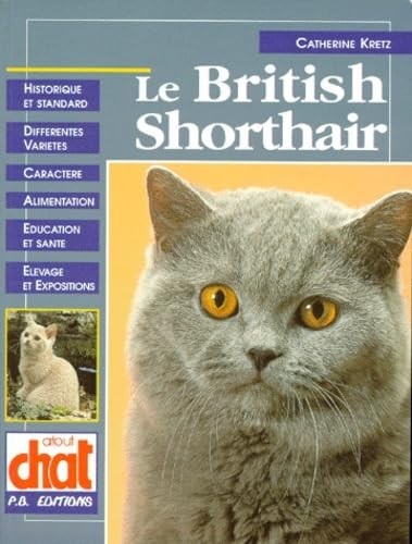 British shorthair - british,