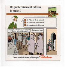 Chocolat Poulain - Mini fiche