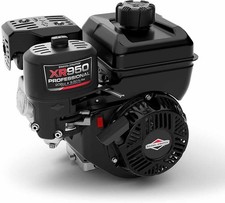 Moteur Briggs Stratton pour