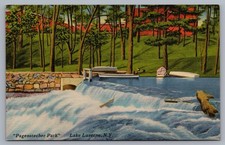 Pagenstecher Park Lake Luzerne NY Corinth Postcard N9