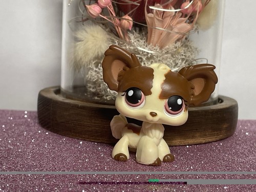 Petshop chien papillon - chien,