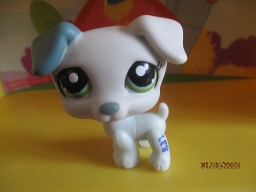 Petshop chien jack - petshop,
