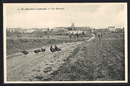 Cpa martin lalande vue - st-martin-lalande,,