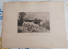 ancienne eau forte lucien