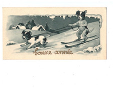 Human dog / SLED DOG harnessed to skier, HAPPY YEAR period 1920-1930