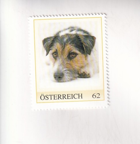 Timbre autriche der hund - timbre,