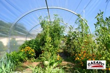 Film de serre transparent incolore Polyane 200µ Largeur 6,50 m Longueur au choix