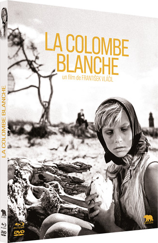 Colombe blanche combo - blanche, [combo