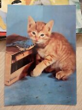 CPSM CPM VINTAGE CAT KITTEN BIRD CAGE 
