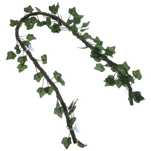 Accessoire terrarium - accessoire,