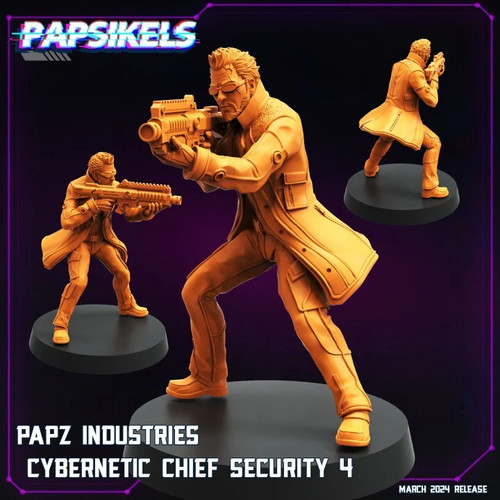 Chef securite compatible - de,