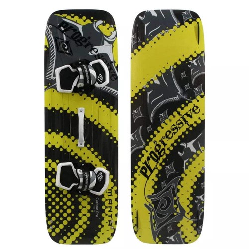 Progressive manta kite - progressive,