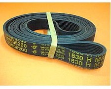 Courroie 1830h8 1256062009