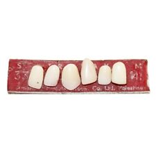 Antique 6 Dentures / Dentist Insert
