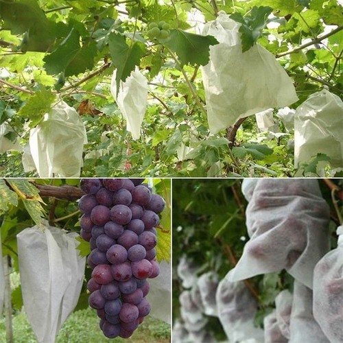 100 sachets filet fruits - de,