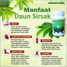 Feuilles de corossol Herbes biologiques naturelles épices fraîches pures hygi...