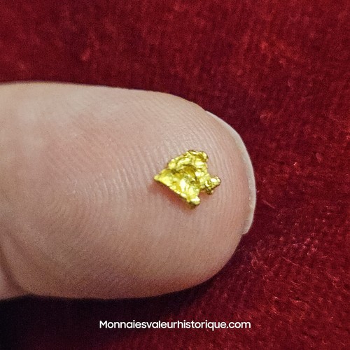 Pépite naturelle - d’or,