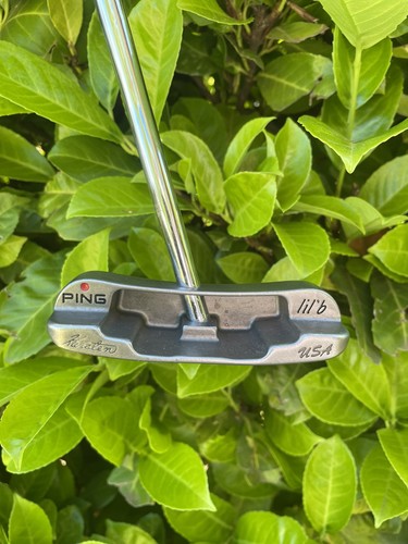 Putter ping lil b - putter,