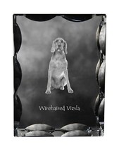 Vizsla - Cristal Avec Einem