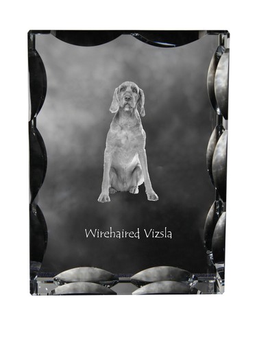 Vizsla cristal avec image de - cristal,
