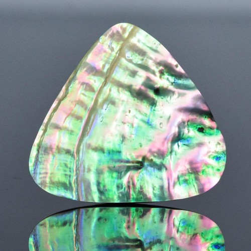 Natural rainbow abalone shell - natural,
