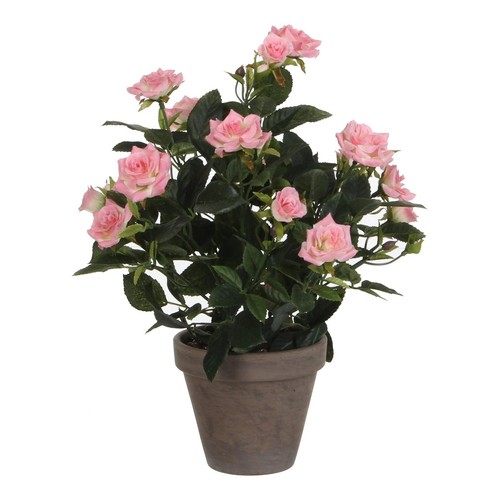 Mica decorations plante - mica,