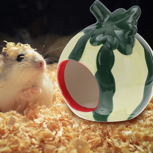 Maison pour hamster - maison,