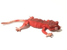 Bandai ADVANCE Paternless Red Crested Gecko Figure 16 cm w/ Movable Joints A