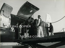 Air transport of a HORSE by the company UTA circa 1970 - 17 x 23 cm