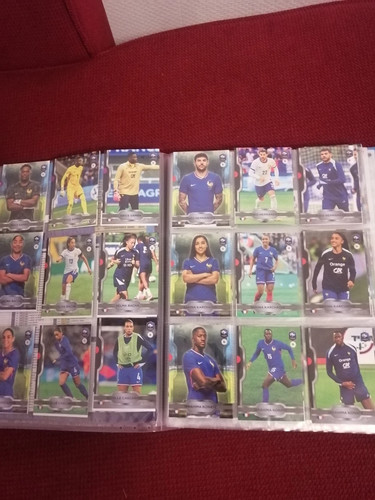 Fff bleu collectif panini - collectif,,