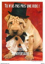 Carte Postale - Animaux -