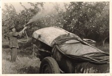 OLD PHOTOGRAPH 1962 NICE AGRICULTURAL SCENE SPREADING FRUIT TREES