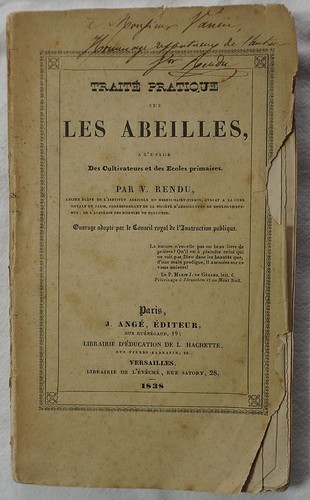 Rendu traité pratique - :,