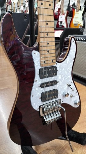 Schecter 24 corps en - corps,