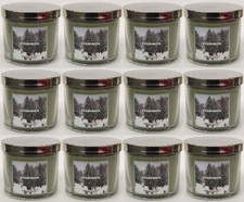 12 Bath & Body Works EVERGREEN