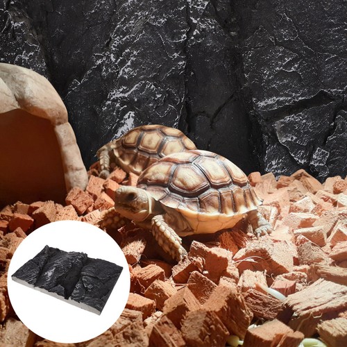 Arrière plan terrarium - du,