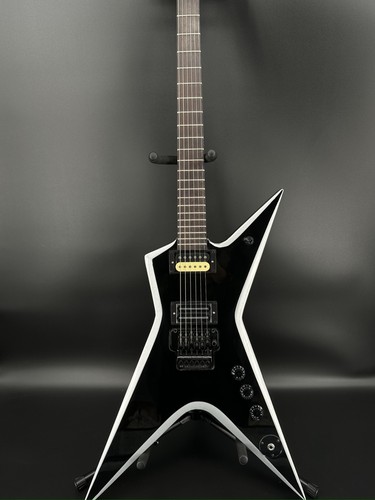 Spot washburn dimebag - spot,