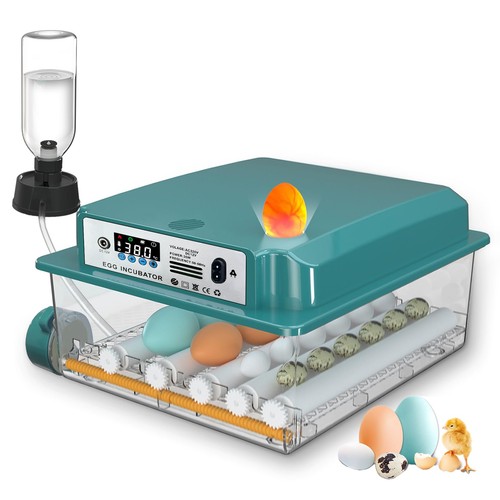 Couveuse oeuf automatique - couveuse,
