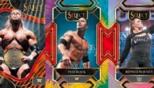 carte catch  2022 panini wwe