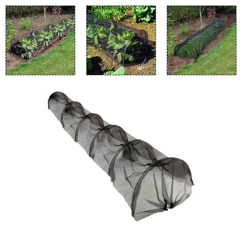 Tunnel plantation compact - plantation,
