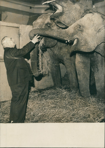 Joseph bouglione avec ses - m.,