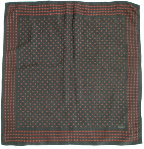 Superbe foulard celine 100 - -superbe, 100%
