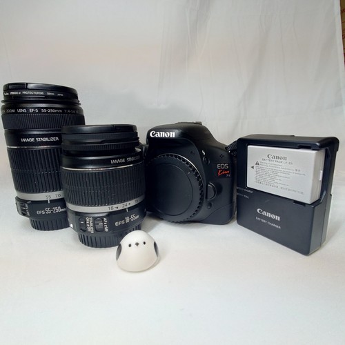 Mint count 309 canon - 5,309", eos
