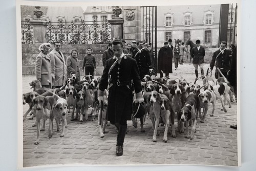 Photo argentique france - photo, chasse