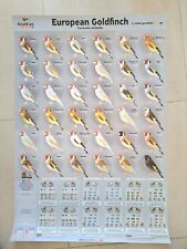 Affiche mutations du