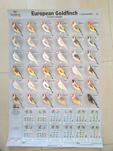 Affiche mutations - , du